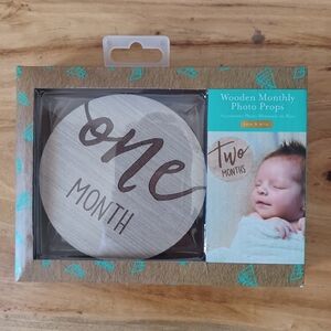 Monthly Milestone Wooden Photo Props NIB